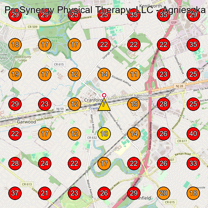 ProSynergy Physical Therapy, LLC - Agnieszka Mika, PT - Fizjoterapia GeoGrid visibility map for Physical Therapist in Edison